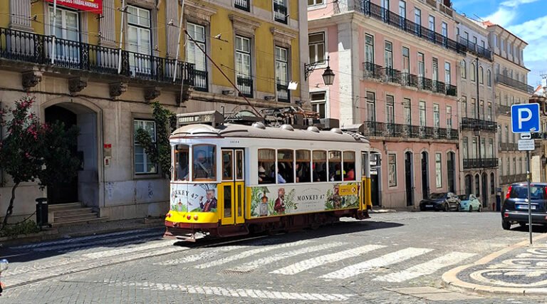 Public transport showing buses and urban mobility options for travelers exploring the city
