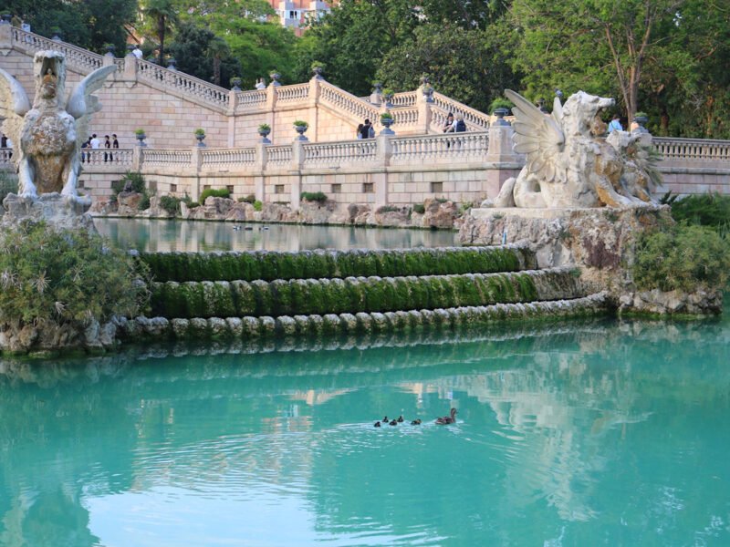 Ciutadella Park in Barcelona Ducks swimming in the pond at Ciutadella Park in Barcelona.